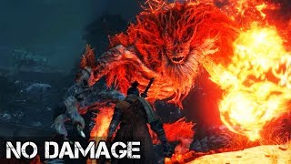 Demon of Hatred (No Damage) Perfect Boss Fight - Sekiro: Shadows Die Twice @kiet91