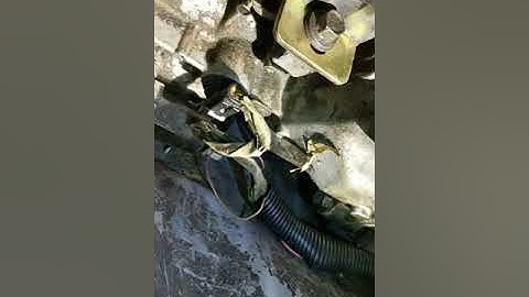 LS/t56 swap g body- wiring gages and trans