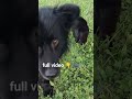 ADVENTURES WITH MY DOG 🐕 AND CAT 🐈