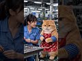 #FunnyCat #Cats #OrangeCat #WorkplaceFun ##CatComedy
