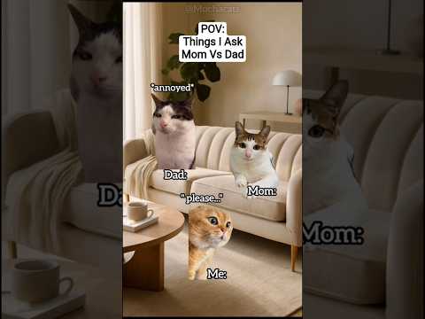 Cat Meme 🐾 Things I Ask (Mom Vs Dad) #catmemes #relatable #relationship #catstory #cat