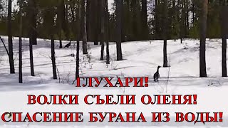 ТАМ ГДЕ НЕТ ЛЮДЕЙ | ПРИКЛЮЧЕНИЯ ПО ПОЛНОЙ| ЧАСТЬ 3 ДЕНЬ 2