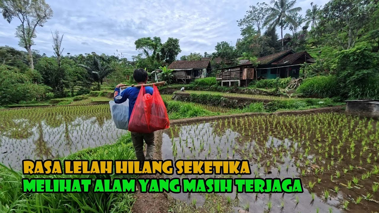 Menikmati Harmoni Alam..Pegunungan Yang Megah..Ketenangan Dalam Kesederhanaan