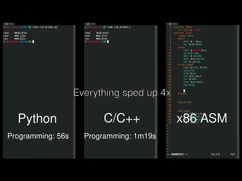 Python vs C/C++ vs assembly side by side comparison