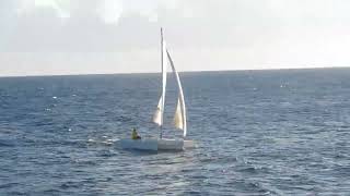 TRIMARAN TREASY 18 by FAURSAIL  429 views 1 year ago 29 seconds