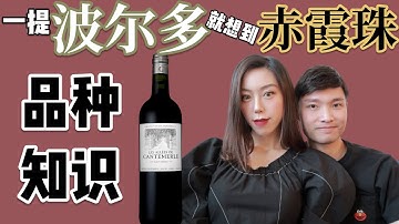 美丽的邂逅 | 波尔多红酒的C位-- 赤霞珠 | Bordeaux Cabernet Sauvignon 101 and Chateau Cantemerle 2016 Tasting