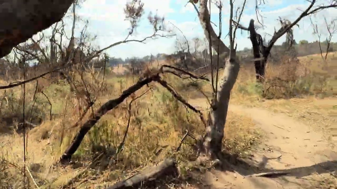 Cradle Moon trails are fun, next up through the creek, punchy climbs, bridge crossing twisty turns 