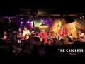 「虹とスニーカーの頃」THE CRICKETS「We respect the Kazuo Zaitsu with TULIP! 愛はちっとも難しくないぜ!」