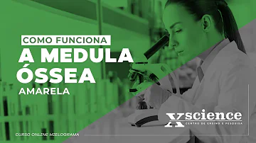 Como estimular a medula óssea a produzir sangue?
