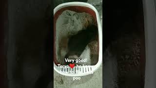 Teryo He Knows How To Flushed.