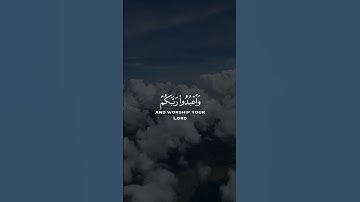 يا ايها الذي امنوا اركعوا واسجدوا سورة الحج للشيخ عبدالرحمن مسعد