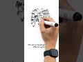 What Is an API? | APIs Explained in 60 Seconds for Beginners & Tech Professionals