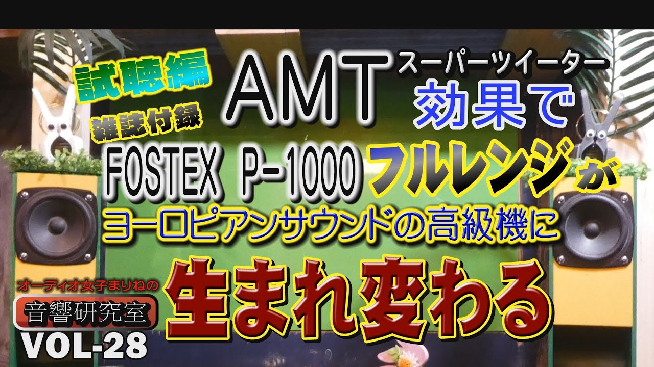 fostex 100HT ツイーター セット オーディオ ペア 音響機器 fostex