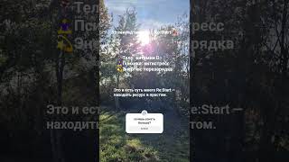 55 секунд осенней магии вместо кофе ☕️ #истинныйпуть #силасознания #медитация