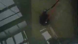 Aquaponics Feedtank