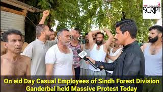 On eid Day,Casual Employees of Sindh Forest Division Ganderbal held Massive