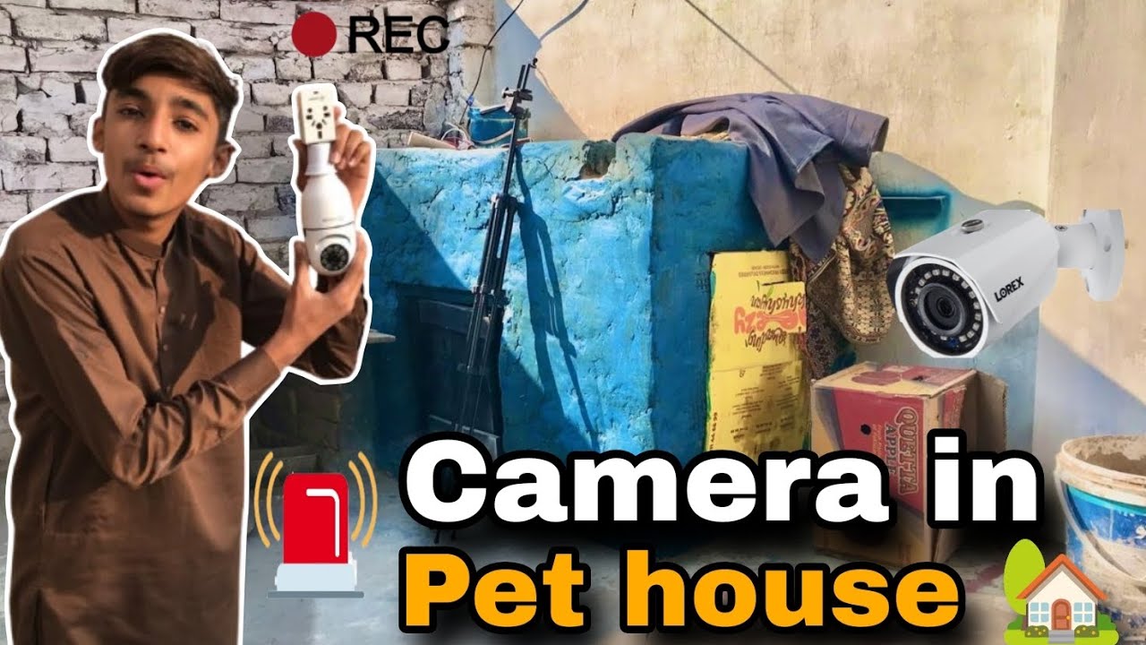 Camera Lg gya Pet house 🏡 mey.||| Chor pkara gya.....