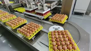 Peralatan pembersihan, penilaian dan pengemasan telur#egg #Peralatan beternak ayam