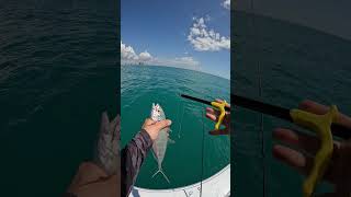 Remove Hook In Seconds #fishing #fishingvideos #fishingcontent