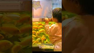[🌠숏] 올해도 고민이 많은 당신에게 물멍 힐링 전해드려요 (기흥 아쿠아가든 잘가요~🤗)