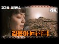 [지구 위 블랙박스 4K] 김윤아-Going Home | KBS 방송