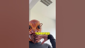 WEIRDOS CLICK SOUND!! ONONO