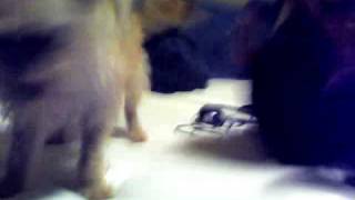 Capture 20100118 1