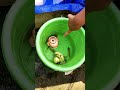Momen divya mancing ikan di pasar minggu kabupaten bandung