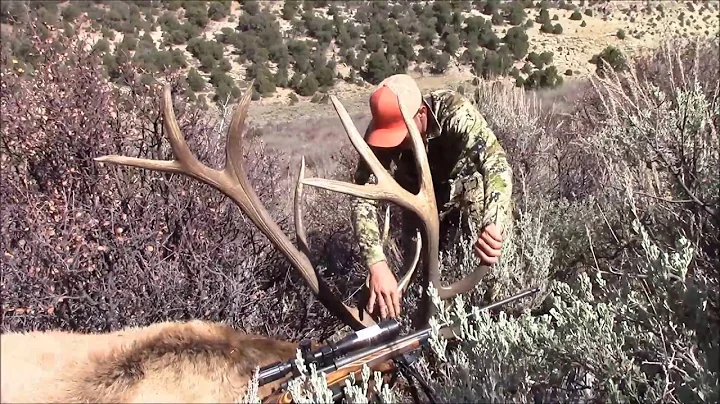 2017 Utah General Any Bull Elk Hunt