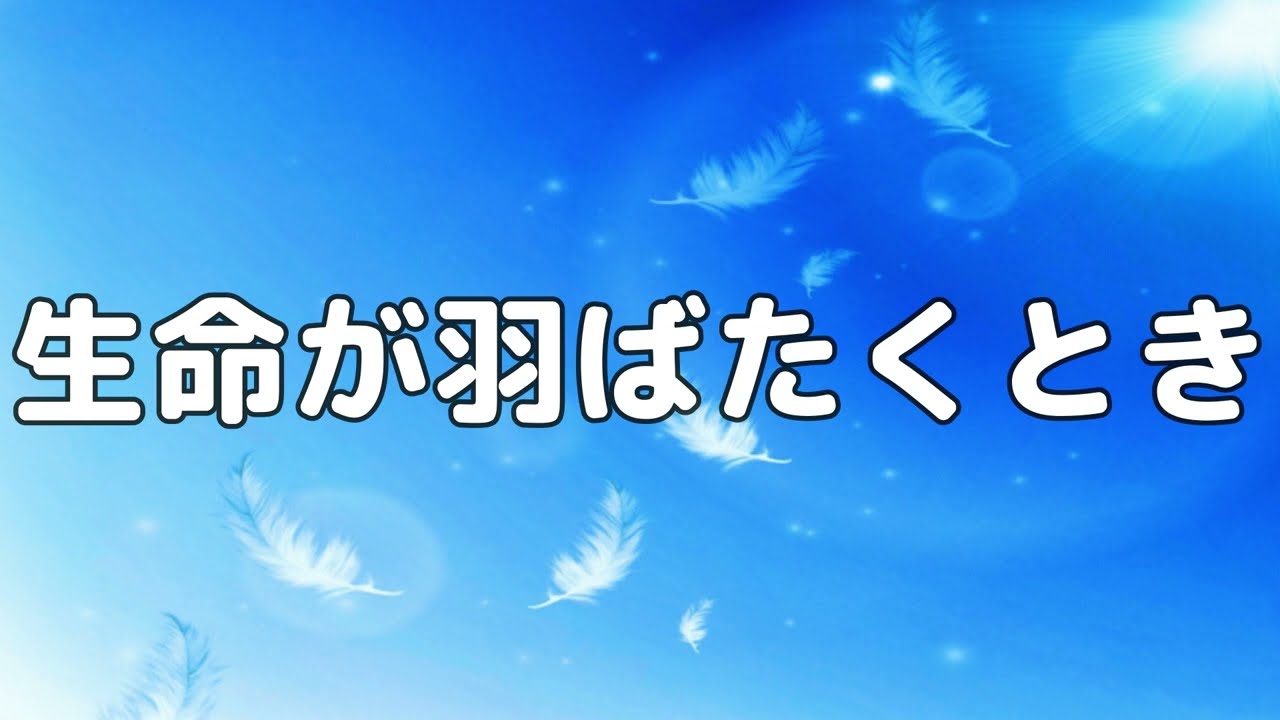 合唱曲 生命が羽ばたくとき 歌詞付き 104 0 Youtube