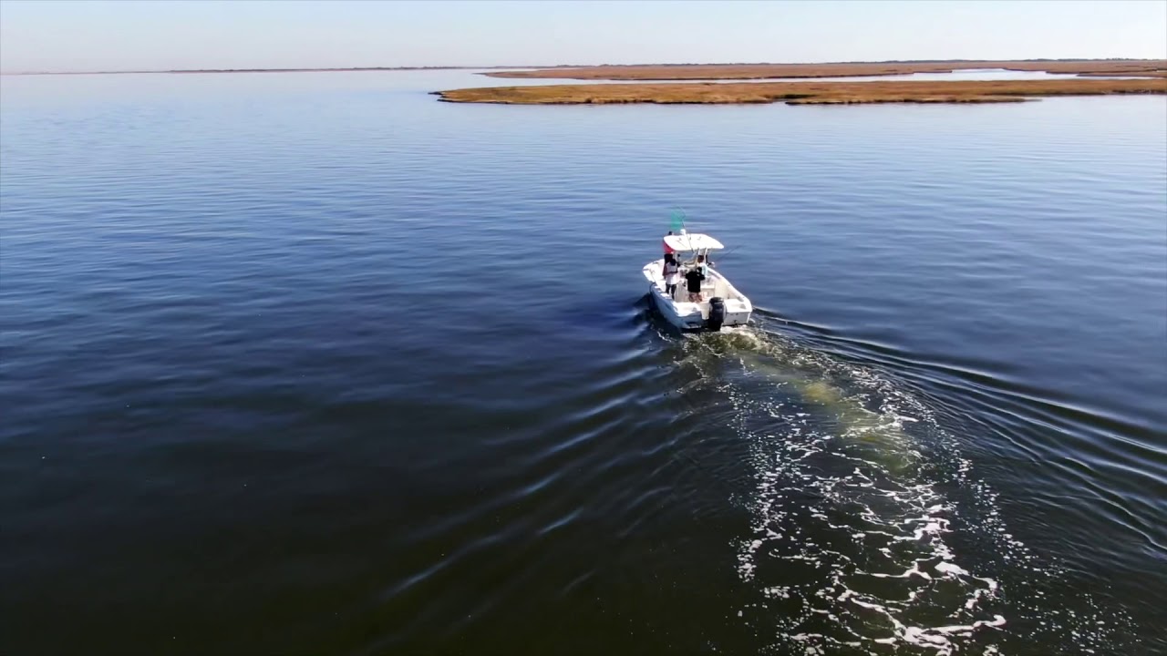 Back Bay Fishing in Atlantic City, NJ YouTube