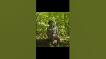 Lack of Creative Energy?