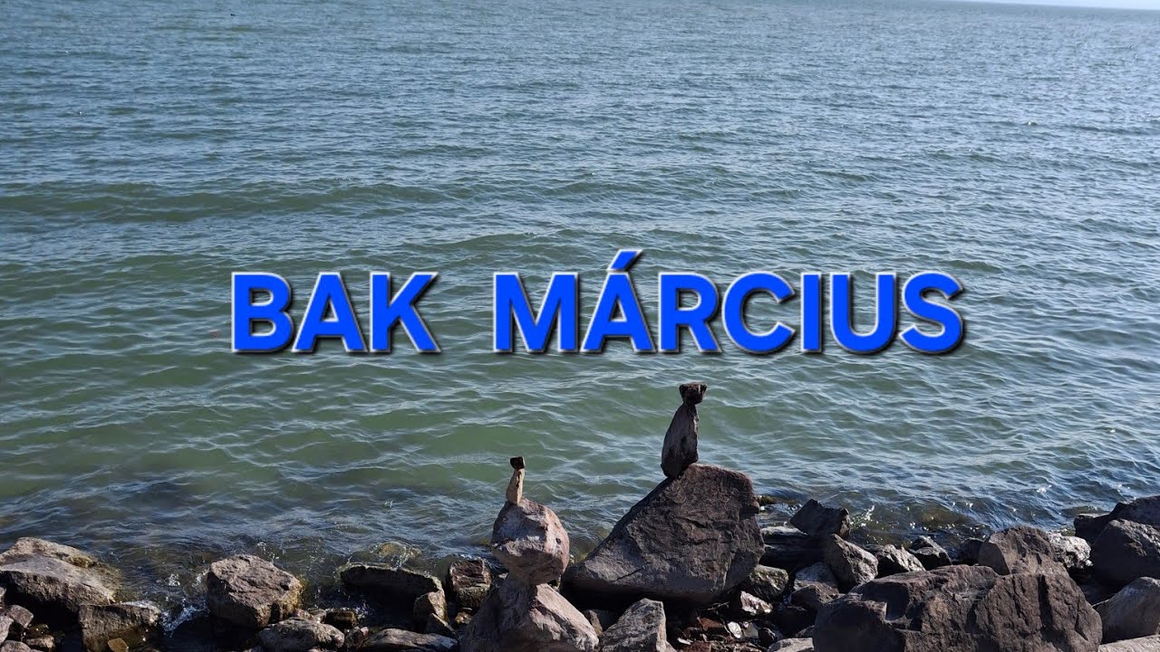 #bak #március #kékibolya #munka #szerelem #kártyavetés #tarot #horoszkóp #jóslás #jövő #neked