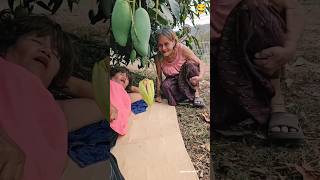 Eating Mangoes from the Tree 😂 #shorts #timelapse #trending
