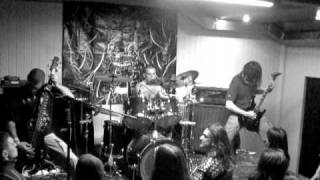 Datura - Analogies of Appearances