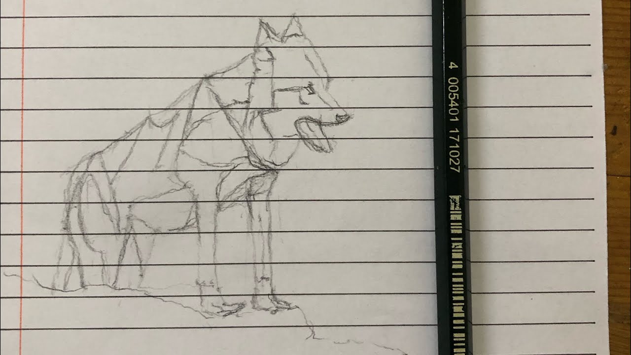 Wolf Pencil Line Drawing faber castell 9000 animal sketch fine art wild ...
