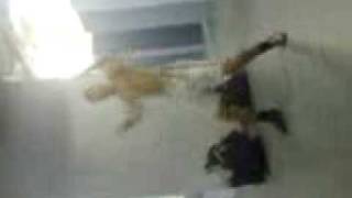 Download Lagu yazid dancing MP3