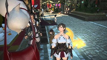 Hanging out with Delivery Moogle