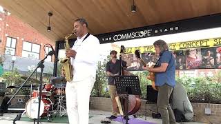 Famous My Little Suede Shoes Todd Wright Quartet Wealth