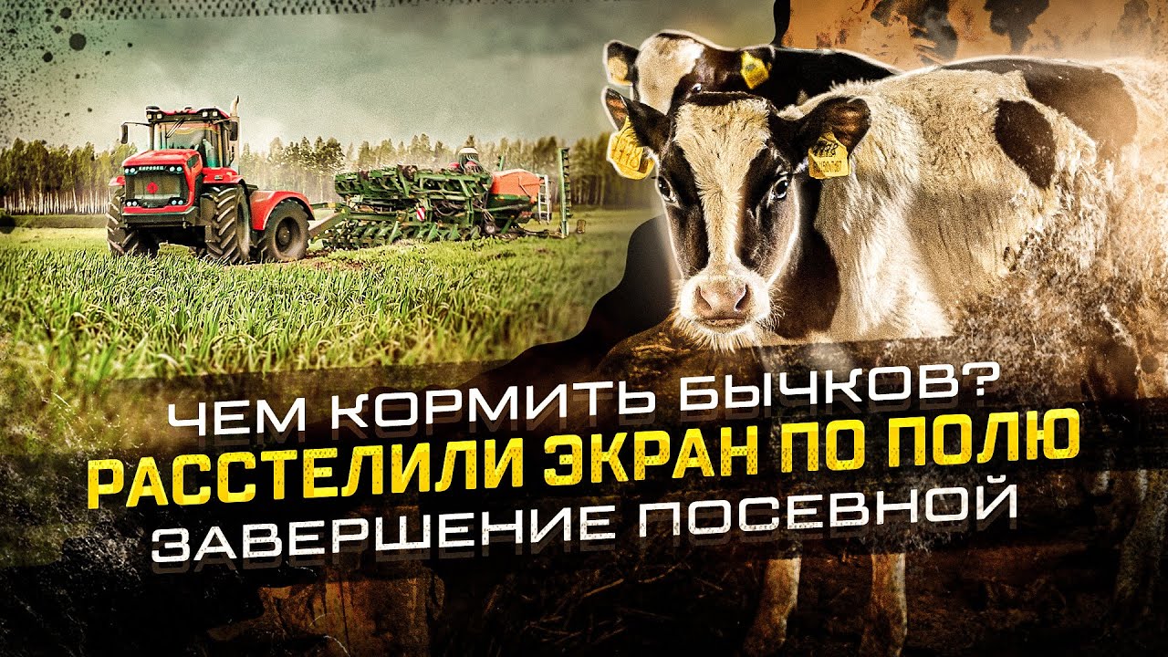 16 серия | Что происходит на Фермер НЕСОВХОЗ? Химическая обработка полей.