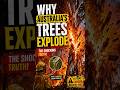 Why Bushfires in Australia Are So Dangerous #australia #facts #canada #japan #uk #blackfire #coldfir