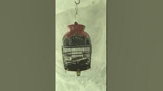 SUARA PERKUTUT BANGKOK KUK 15 UP ( Paling Banyak Dicari Orang )