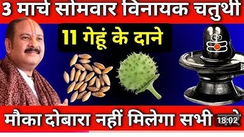 3 मार्च सोमवार विनायक चतुर्थी को 11 गेहूं के दाने वाला उपाय जरुर करे || Pradeep Ji Mishra #Somwar​