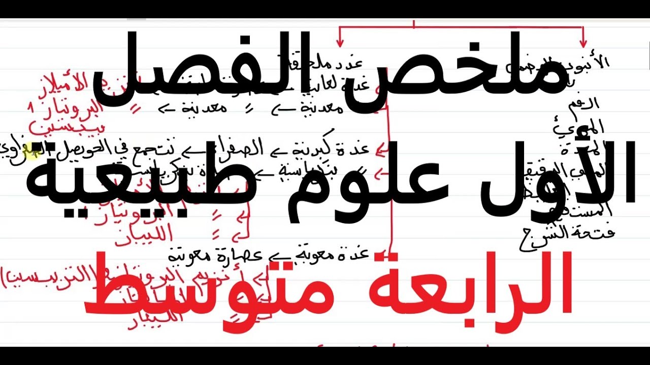 ملخص دروس الفصل الأول علوم طبيعية السنة الرابعة متوسط