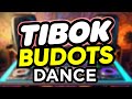 Dj Danz - Tibok ( Budots Dance Remix )