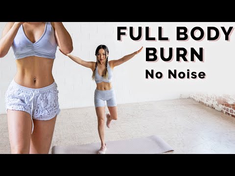 15 Min Full Body HIIT | No Noise No Jumping Apartment Friendly
