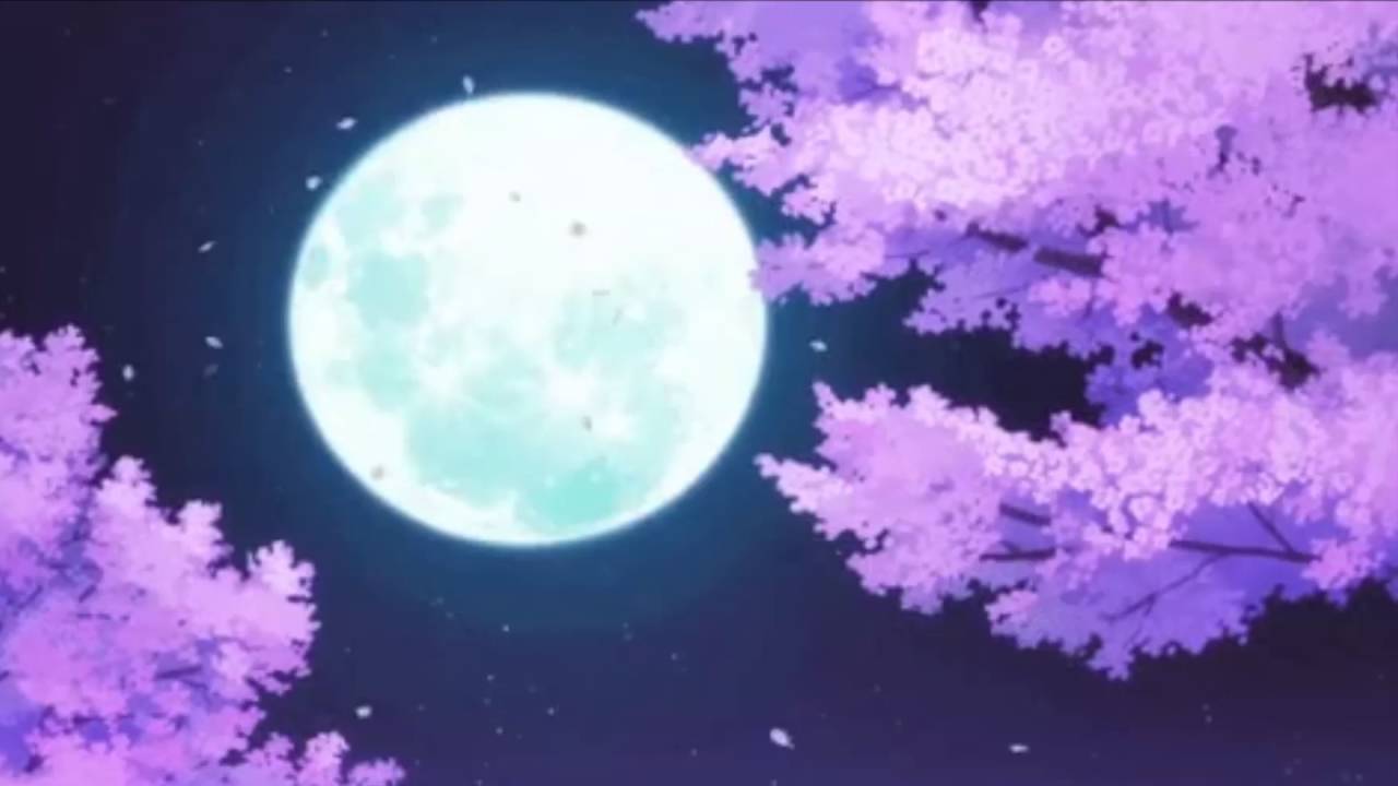 s o u l o u e - leaves. 葉