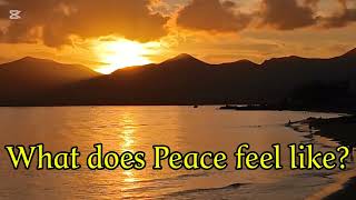What does Pearce look like to you/The Gentle Pause 