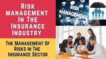 The Management of Risks in the Insurance Sector. Risk and Risk Management in the Insurance Industry