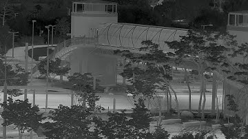 1280x1024 10um InSb MWIR infrared Video [Park]